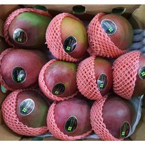 페루 고당도 애플망고 4kg 6-11수 선물용, 1개, 폐루산 애플망고(6-11수)4kg***2박스***