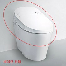 대림바스 DST-801 프리미엄 일체형비데 비데만 판매