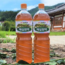 1+1조성한옥 매실액기스 홍매실원액 청매실 매실청효소 3년숙성[원산지:국산(전라남도 보성군)], 1.8L