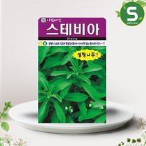 허브씨앗 스테비아 50립 천연감미료 다이어트 효과, 단품