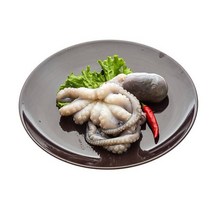 왕주꾸미 왕쭈꾸미 문어짬뽕 쭈꾸미 주꾸미 5kg 130/200 300/500, 300g~500g 5kg 14미내외 1박스 도매