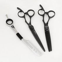 아이치 전문가용 미용가위 헤어커트 컷팅 바버세트 AI-BARBER SET, BARBER SET_커트가위 6.5 블랙