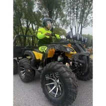 ATV 4륜 산악 오토바이 산악용 버기카 농업용 화물 짐운반, 3. C. C