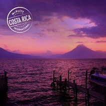 [맥널티 생두] 코스타리카 따라주 SHB (Washed), 1kg, 1개