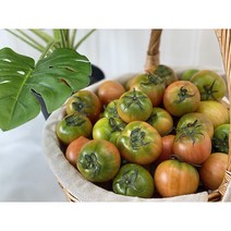 고당도 부산 대저토마토 짭짤이 로얄과 2.5kg 당도보장, 1개