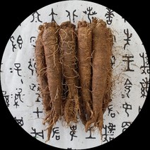 횡성더덕농가 더덕 중품 상품 특품 왕특 1kg, 왕특1kg, 1개