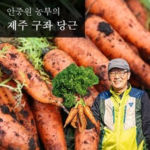 제주구좌 흙당근 특상 5kg, 상세 설명 참조