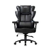 제닉스 ARENA-X PREMIUM PC CHAIR 사무용 컴퓨터의자, 색상