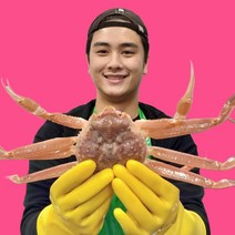 [5+1}[3+1][당일조업][구룡포직송]수율보장 명품 박달 대게 4마리 포항 구룡포 영덕 울진, 박달급 대게 수율85%이상 5미+1미 총6미