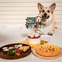 [오간식] 강아지 생일패키지 생일파티 고양이 반려동물생일상 케이크 수제간식, 파랑