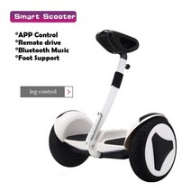 성인 전동휠 호버보드 스쿠터 나노휠 세그웨이 전동휠 왕발통, 하얀