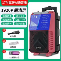 이동식 블루투스 노래 반주기 휴대용 캠핑 행사 앰프, G구성