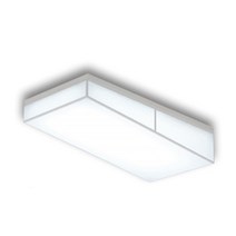 원룸 방등 10평대 led 거실등 2등 60W led등 거실조명등