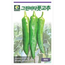 대물무 500립 - 씨 씨앗 무씨앗 무씨 큰무 커다란무 채소씨 채소씨앗, 11_다농_그린비타 풋고추(50립)
