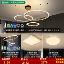레이시 할로윈조명 구미 경럭셔리 음식 청주 샹들리에조명, T03-스마트 컨트롤 2개 룸 2개 홀 식사대, 기본