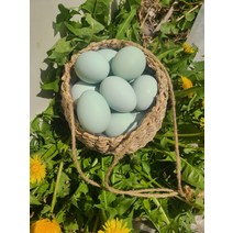 유정란 청계 청란 무항생제 계란 달걀 특란 20구 40구, 청계 유정란 20구