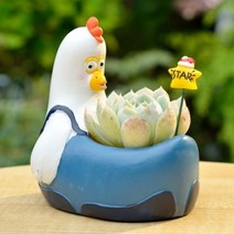 ROOGO 루고 다육이 미니화분 작은 자연 치킨 (다육식물 불포함)