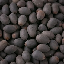 국산 연자육(연꽃씨) 600g 연꽃씨앗 한방재료 한약재, 13YQ_국산연자육(연꽃씨)600g