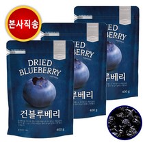 건블루베리 400g x 3봉 프리미엄 블루베리 정품 본사직송, 1세트, 1.2kg(400g x 3봉)