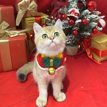 핸드메이드 고양이 케이프 스카프 강아지 애견 턱받이 뜨개 케이프 크리스마스, M, 레드