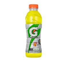 칠성 갈증해소 아미노산 게토레이 레몬 페트 스포츠음료 이온음료 600ML 20개, 8세트