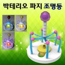 박테리오 파지 조명등 만들기 (5인용), 본상품선택