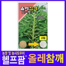 헬프팜 올레참깨 3000립 씨앗 종자 그린하트바이오