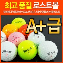 타이틀리스트 유명브랜드 A+급 로스트볼 흰볼 칼라볼 골프공 캘러웨이/타이틀리스트/나이키/테일러메이드/던롭/볼빅, FREE, PRO V1 특A+ 화이트12알