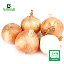 [농협] 무농약 양파 3kg(특품), 단품
