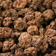 개다래열매(충영) 600g/약초/한방재료