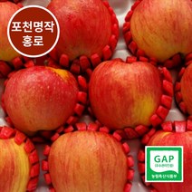 [포천 사과] GAP인증 껍질째 먹는 명작 포천 홍로사과 난이사과, 1박스, 10kg(46~48과)