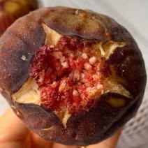 당일수확 당일발송 무농약 무화과 청무화과 1.2kg, 1개