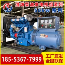 Weifang Weichai 브러시리스 디젤 발전기 세트 30 50kW 100 200KW 영구 자석 에너지 절약 380V 사육, 30-50KW 제한 - 비고 구성
