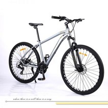 29인치 MTB 풀샥 바퀴큰 자전거 고급 하드테일 튼튼한 산악 용 엠티비 입문용 출퇴근, 실버그레이/도금태그_29인치