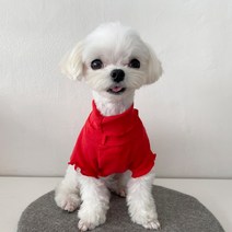 색감이 예뻐요 고급 소재 강아지옷 폴라티 가을옷, 01.red