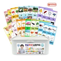 자석나라 자석낱말카드 240p + 플라스틱 보관함 랜덤발송 12L 세트 380 x 280 x 145 mm, 38 x 28 x 14.5cm
