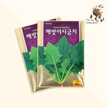 해맞이시금치 20g 미래종묘 잎채소류 씨앗