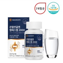 관절연골엔 엠에스엠 2000, 1통, 120정