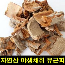 ★쭈니파파몰★ 고씨네 자연산유근피500g 느릅나무 자연산유근피 환
