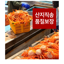 대게찜 포항 죽도시장 구룡포 붉은대게 홍게 제철 당일조업 산지직송 자숙 육수용 프리미엄, 육수용 1.5kg (5~7마리)