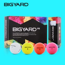 넥센 빅야드 PR 2피스 골프공