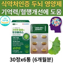 (현이) 식약처 인증 혈행엔 징코 은행잎추출물 두뇌 뇌 혈관 건강 기억력 혈행 개선 에 좋은 도움을 주는 플라보놀배당체 영양제 부모님 어르신 건강 식품 선물 추천 GINKGO, 6통