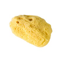 벨리니 천연해면 스펀지 실크파인 FD.7-소
