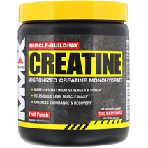 머슬맥스 머슬 빌딩 Muscle Building 크레아틴 Creatine 과일맛 Powder 264g, 1개