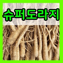 슈퍼도라지 씨앗 5g 도라지 씨 파종 종자 재배 키우기