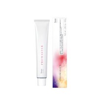 호유 프로마스터 염색약 80g+ 2제증정, R-9/8