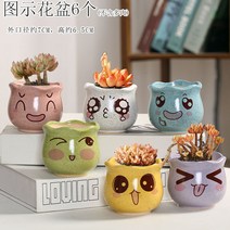 다육화분 다육이 심폴 화분 식물 미니 화분세트, 도자기, 옵션30