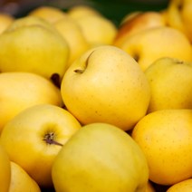 딜리버리맛트 [딜맛] 시나노골드 황금사과 정품(망포장) 중소과 3kg(13~15과), 1