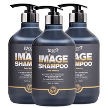위스티 이미지 향기 좋은 퍼퓸 샴푸 디어메모리 500ml, 3개