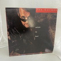 JOE COCKER LP / 엘피 / 음반 / 레코드 / 레트로 / AA2626